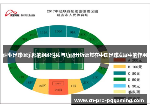 建业足球俱乐部的组织性质与功能分析及其在中国足球发展中的作用 建业足球俱乐部的组织性质与功能分析及其在中国足球发展中的作用
