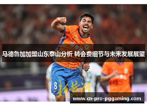 马德鲁加加盟山东泰山分析 转会费细节与未来发展展望