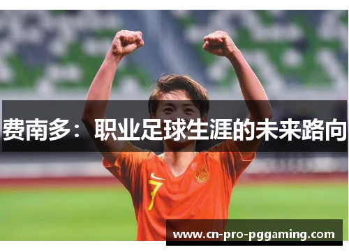 费南多：职业足球生涯的未来路向