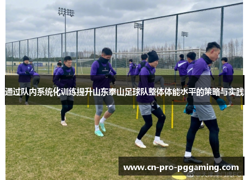 通过队内系统化训练提升山东泰山足球队整体体能水平的策略与实践