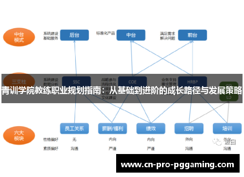 青训学院教练职业规划指南:从基础到进阶的成长路径与发展策略 青训学院教练职业规划指南:从基础到进阶的成长路径与发展策略