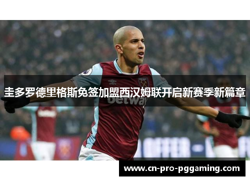圭多罗德里格斯免签加盟西汉姆联开启新赛季新篇章