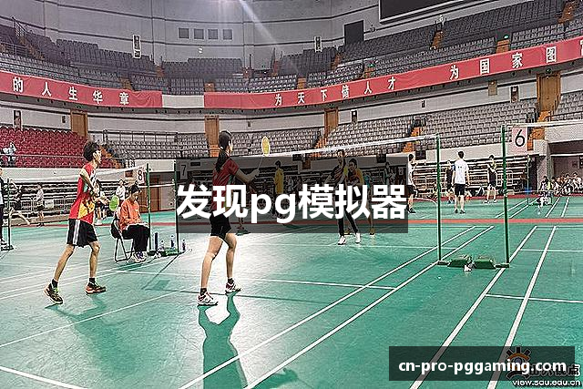 发现pg模拟器